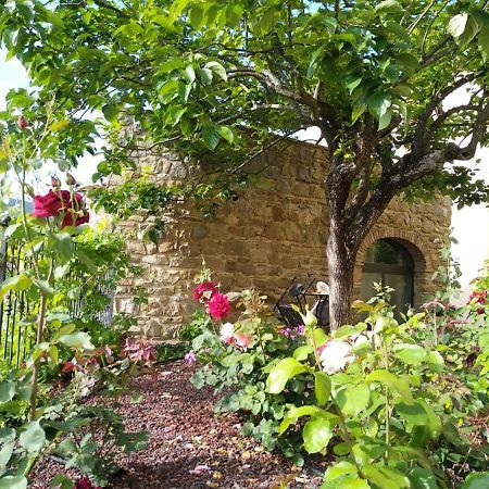 Da Vinci Sweet Home Castiglion Fibocchi Dış mekan fotoğraf