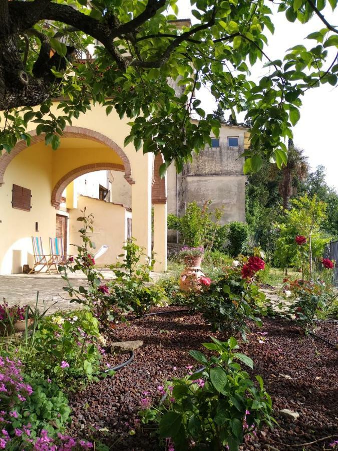 Da Vinci Sweet Home Castiglion Fibocchi Dış mekan fotoğraf