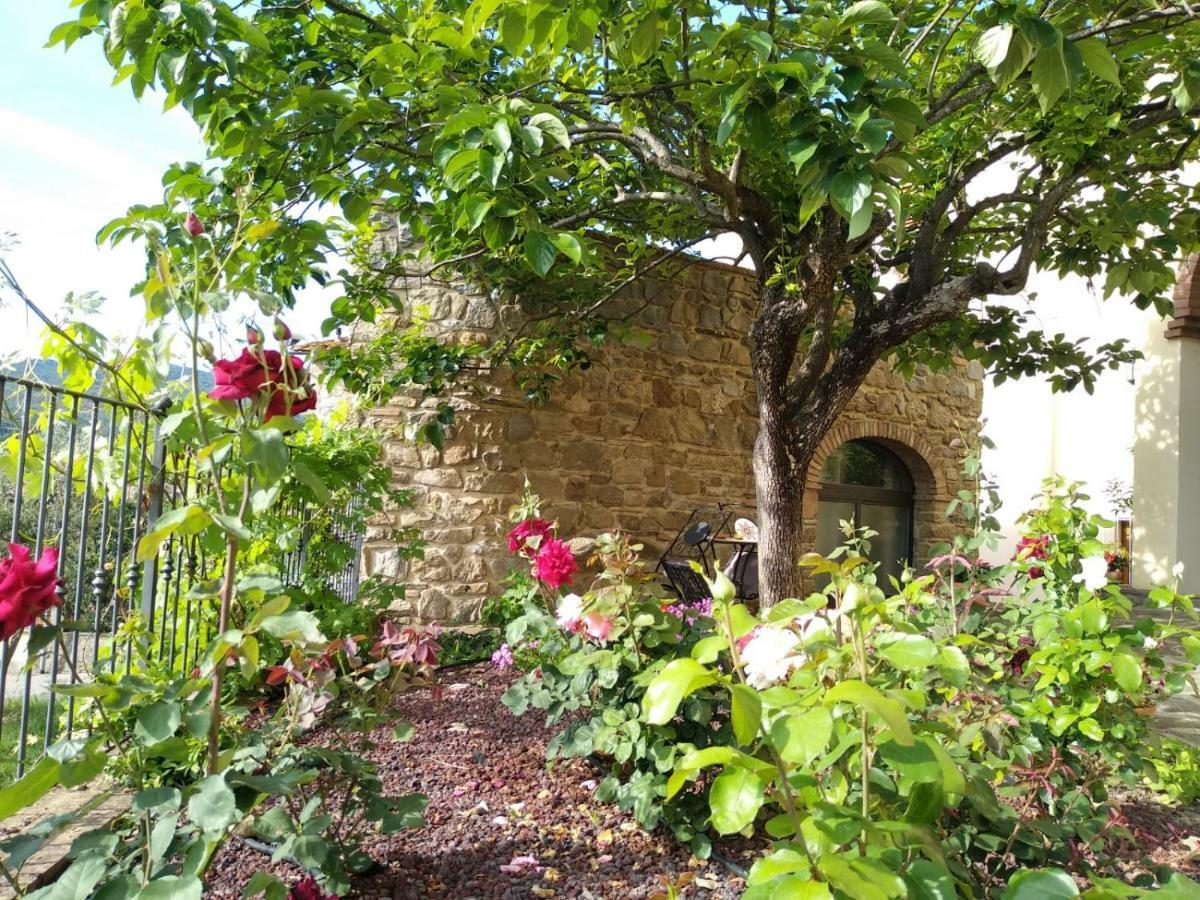 Da Vinci Sweet Home Castiglion Fibocchi Dış mekan fotoğraf